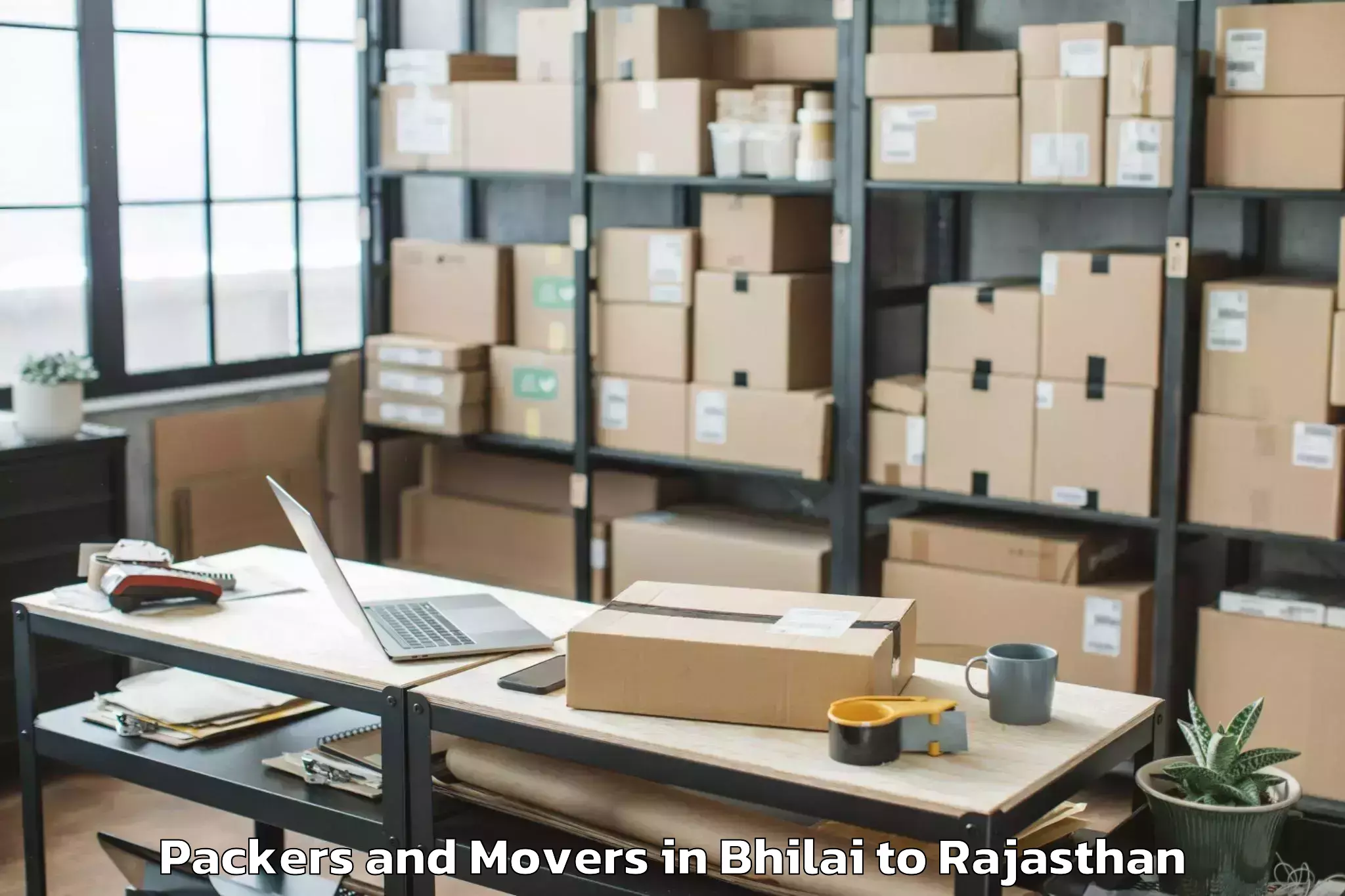 Efficient Bhilai to Sri Vijaynagar Packers And Movers